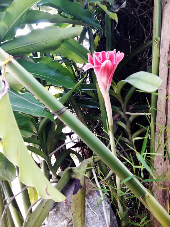 Phonepraseuth Guesthouse Luangprabang Kültér fotó